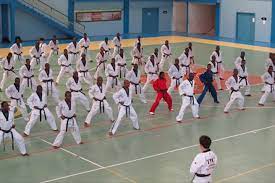 Gabon : Du rififi au Comité de normalisation du taekwondo