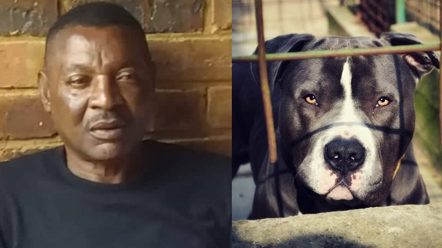 Disparition : l’ex footballeur zambien Philémon Mulala, dévoré par ses chiens