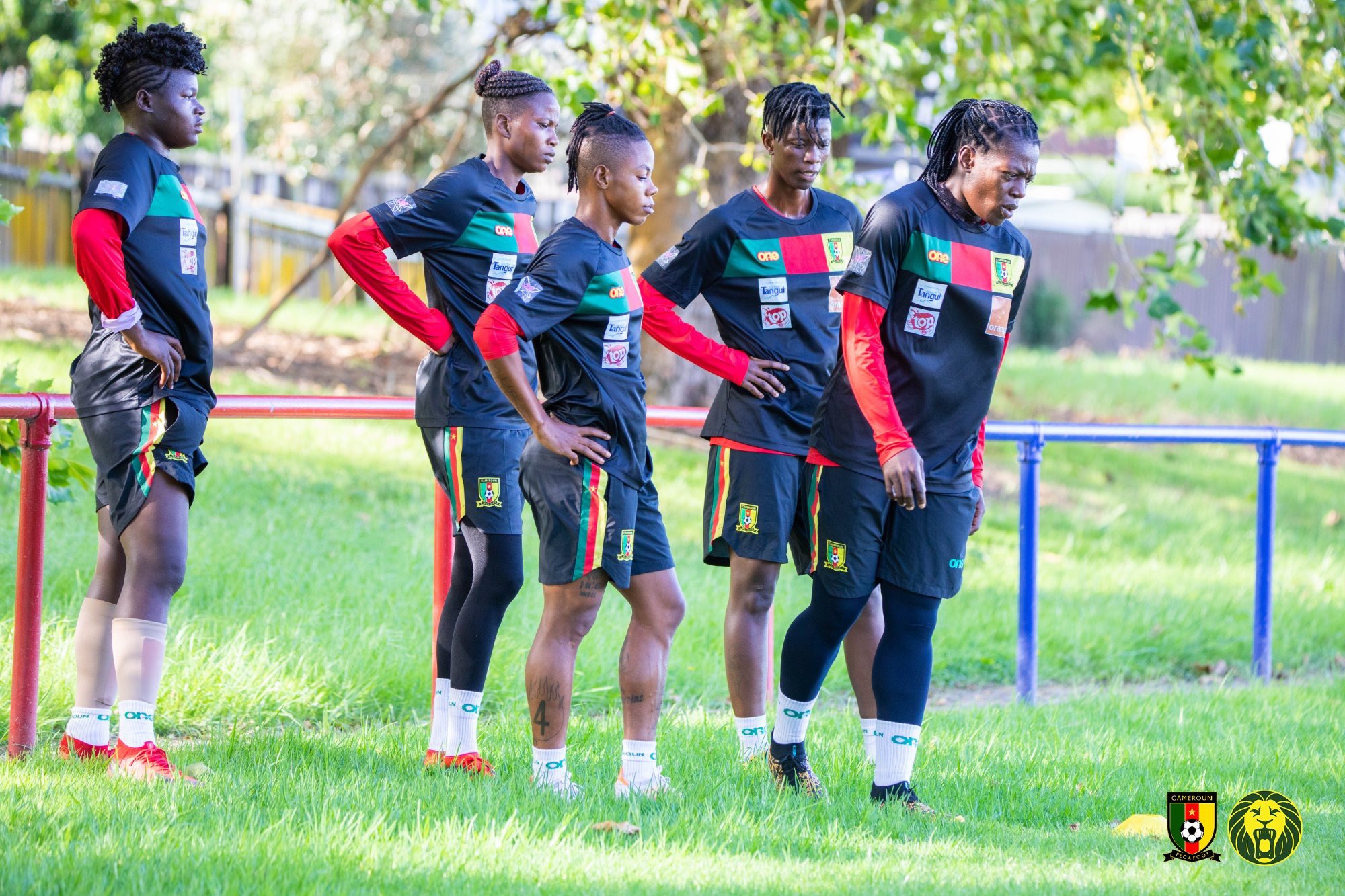 <strong>Barrages mondial féminin : la tanière des Lionnes s’agrandit</strong>